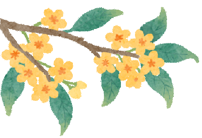 @糖尿病患者 中秋节吃月饼，这些要点一定要记牢