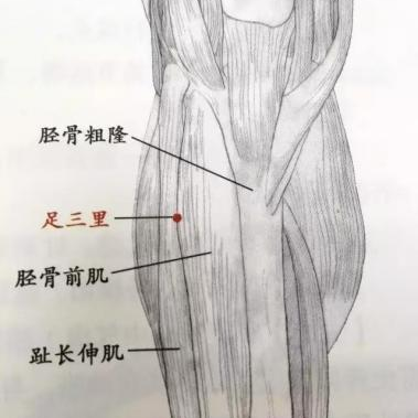 中山医声 | 打嗝停不下来？中医这套“针药组合拳”，让顽固呃逆嗝然而止