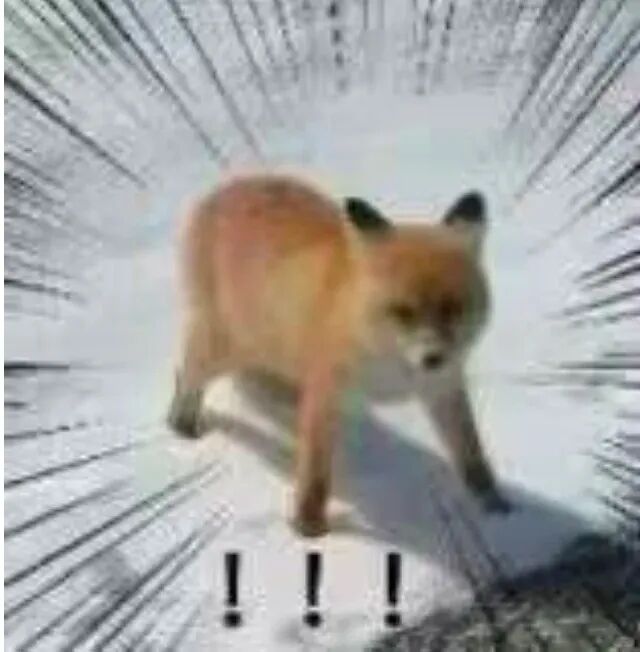 吃得越多越缺钾?假日狂吃后,别用这个方法“补救”