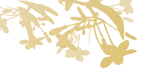 祝福团圆，致敬一线 | 河北医大一院为您的健康保驾护航！