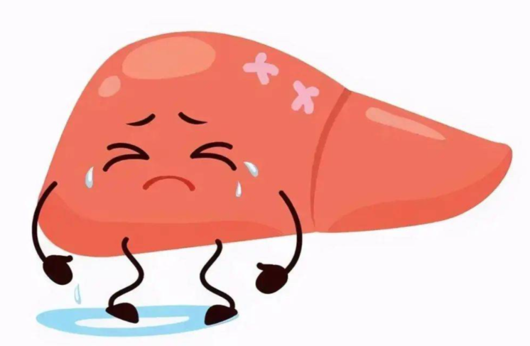 小心肝!每20多人,就有1人的肝在悄悄变硬!