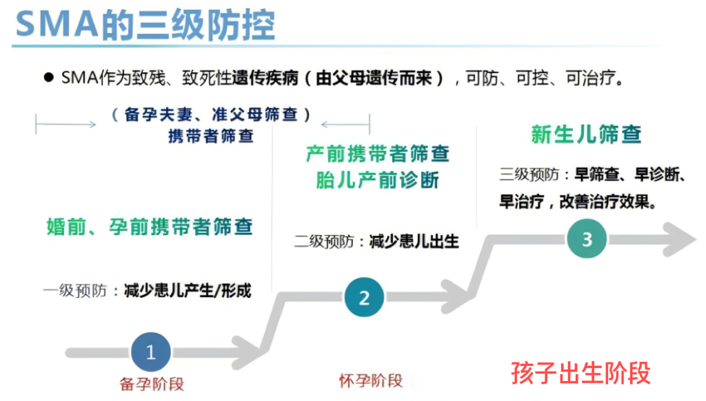 【协作组科普】产检指标全都正常，为什么医生建议做 SMA 基因筛查？
