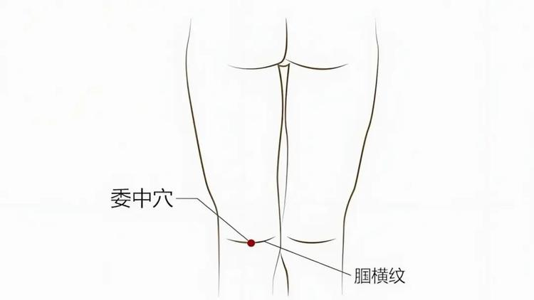 三四十岁的年纪,七八十岁的腰。学会这几个穴位,随地大小按