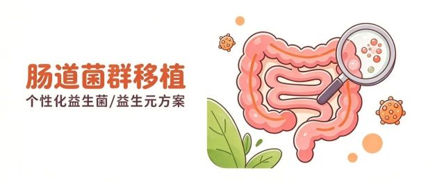 总觉得疲惫、长痘反复、肠胃不舒服？根源可能在你的肠道！