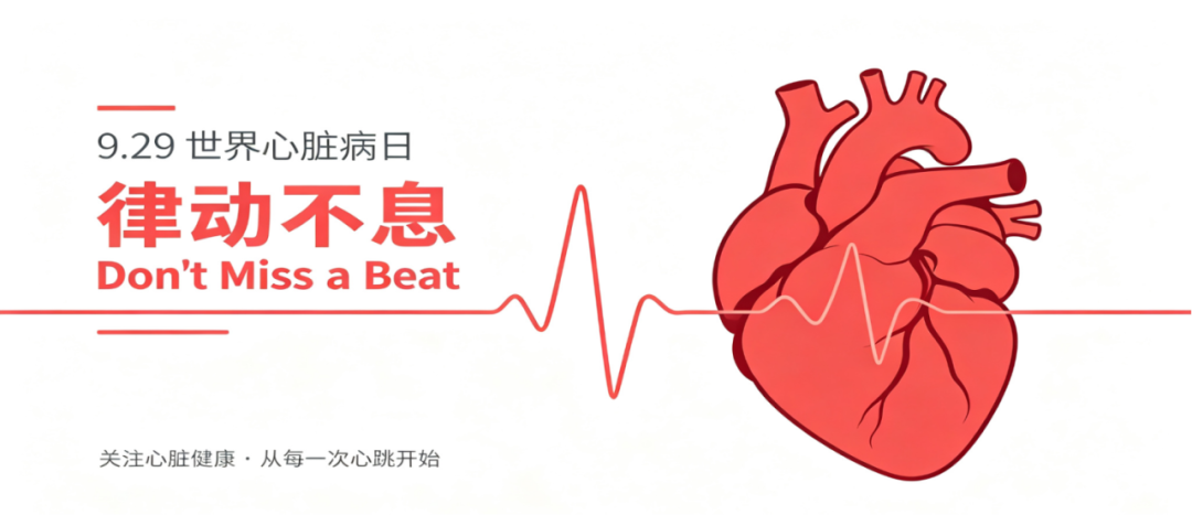 世界心脏日|律动不息,我院开展心脏健康科普公益活动