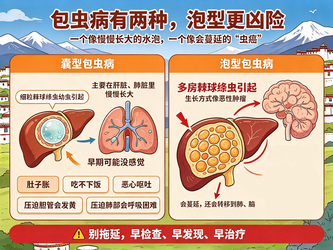 高原科普：藏区人人要懂的包虫病，早懂早防少受罪