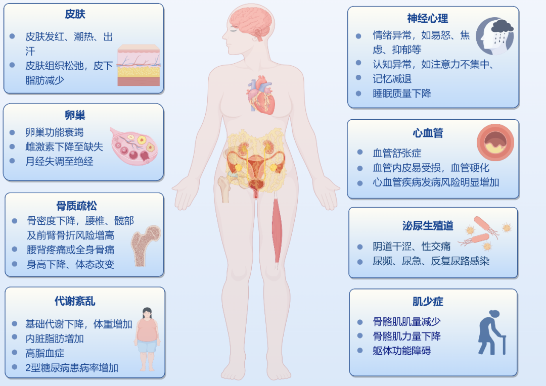 更年期——女性的自我重塑
