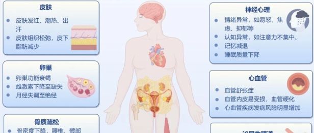 更年期——女性的自我重塑