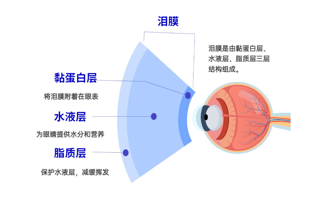 十一宅家享假期,别忘了给眼睛也放个假
