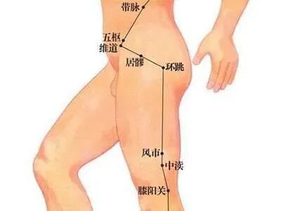 丨跟我学腧穴丨带脉穴、五枢穴、维道穴、居髎穴、环跳穴、风市穴、中渎穴、膝阳关穴