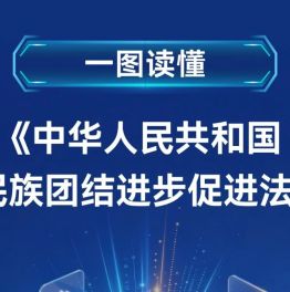 【一图读懂】《中华人民共和国民族团结进步促进法》