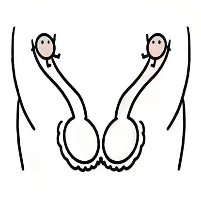 儿童健康科普：“蛋蛋”不见了？关于隐睾，家长别错过这个黄金期