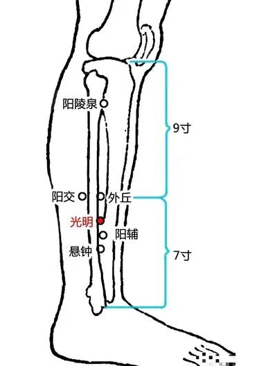 丨跟我学腧穴丨阳陵泉穴、阳交穴、外丘穴、光明穴、阳辅穴、悬钟穴