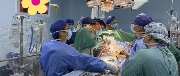 广西首例｜广西医科大一附院心胸外科团队应用冷冻消融系统完成“风湿性瓣膜病合并房颤”一站式微创手术治疗