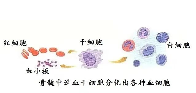 “心情跟中了1000万大奖一样!”30岁生日这天,浙江护士作了一个决定......