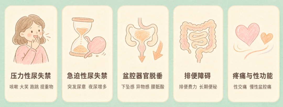盆底肌悄悄 “罢工”?沈宇飞教授提醒:别等漏尿才重视