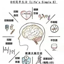 警惕脑卒中：抓住黄金时间，守护生命防线