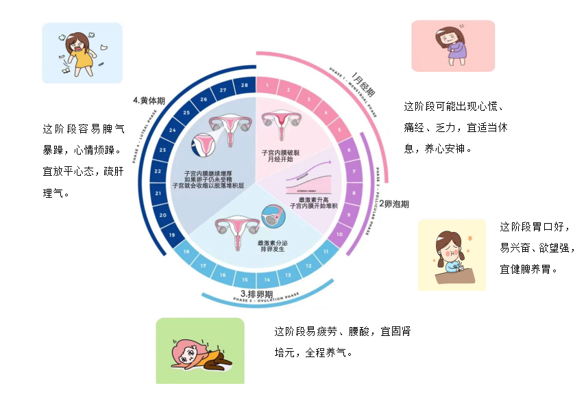【世界更年期关怀日】更年期不是突然来临!从性激素六项看卵巢的早期信号