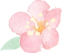 【世界更年期关怀日】更年期不是突然来临!从性激素六项看卵巢的早期信号