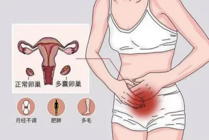 【世界更年期关怀日】更年期不是突然来临!从性激素六项看卵巢的早期信号