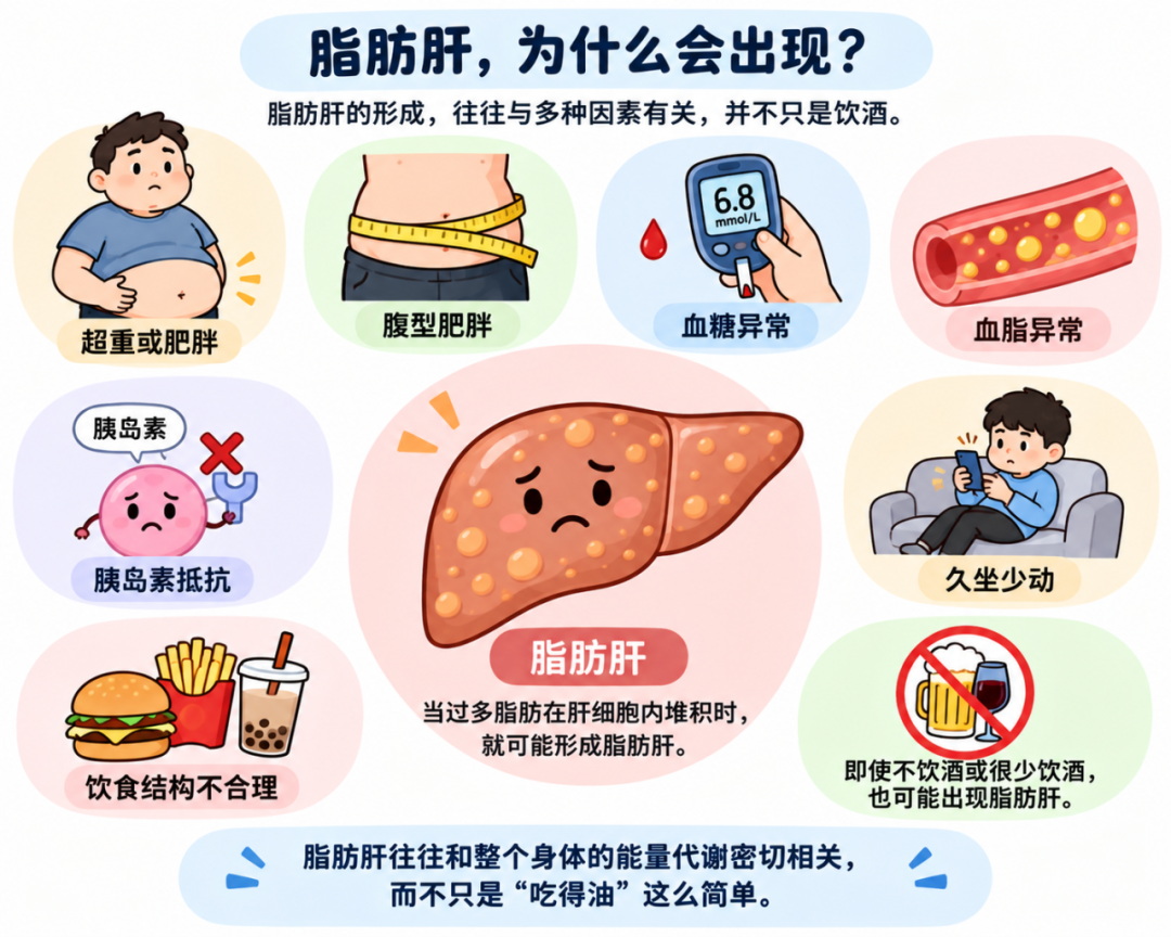 查出脂肪肝怎么办?从风险评估到生活方式管理,一文说清