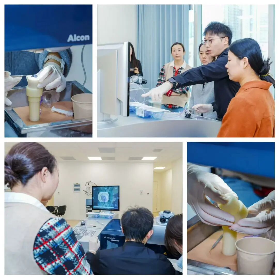 聚全向光·塑见高清——爱尔眼科辽宁省区屈光手术能力提升全光塑专项培训在沈阳举办