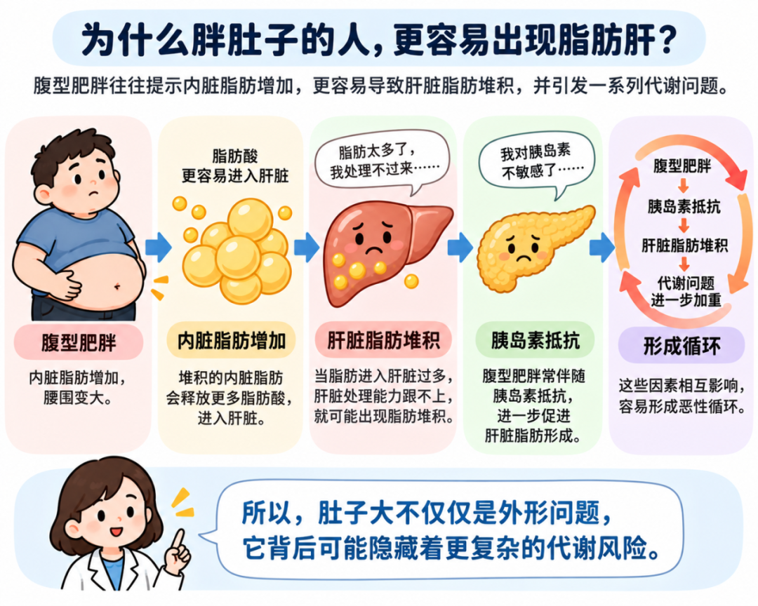 查出脂肪肝怎么办?从风险评估到生活方式管理,一文说清