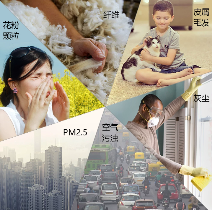 普瑞专家说|眼睛痒到想“抠出来”?换季高发的过敏性结膜炎,别再当“上火”治