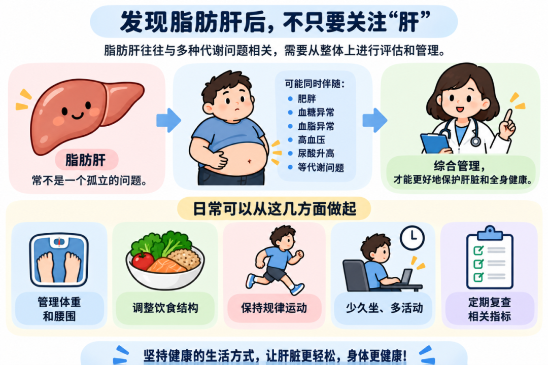 查出脂肪肝怎么办?从风险评估到生活方式管理,一文说清
