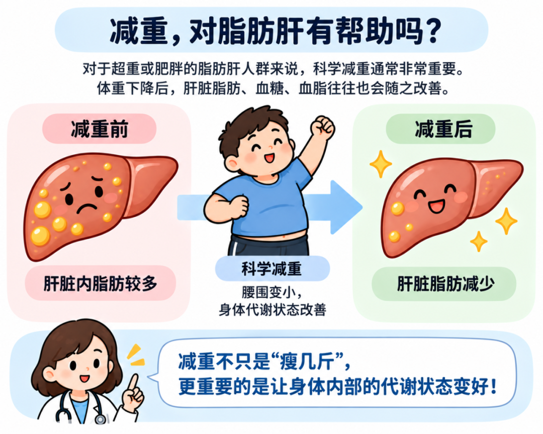 查出脂肪肝怎么办?从风险评估到生活方式管理,一文说清