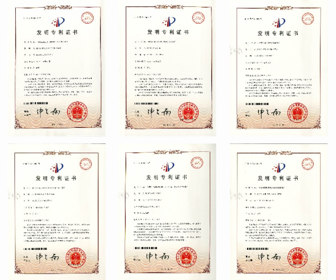 胆结石中心密雷教授亮相第四届瓯越肝胆精准诊疗论坛