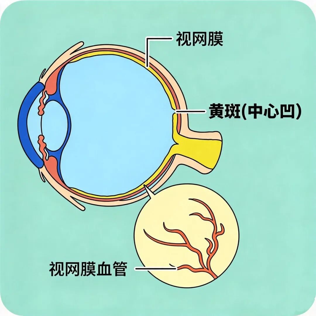 眼白上长了个“小斑块”？它被大多数人忽略