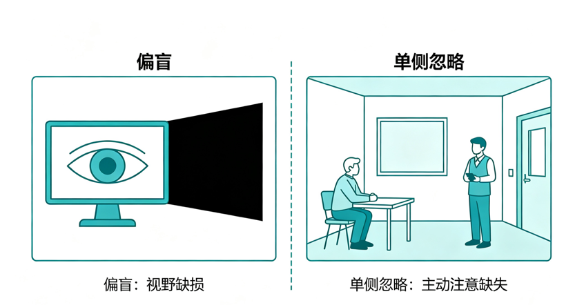 饭只吃一半、走路总撞墙？别骂患者粗心！是大脑忘了半侧世界