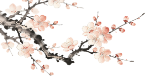 【世界传统医药日】传承岐黄薪火 共享健康生活，传统中医适宜技术的正确打开方式