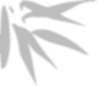 别人捡钱想“怎么花”,正兴保洁阿姨只想“怎么还”