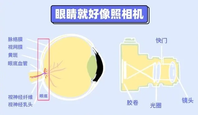 天天刷手机的你,这3个“护眼习惯”其实在毁眼睛!