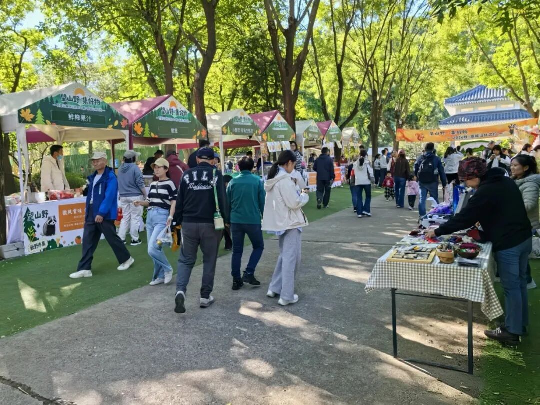 登高赏秋正当时,凝心聚力向未来 | 北京陆道培医院工会“美好秋日行”百望山登山活动圆满举行