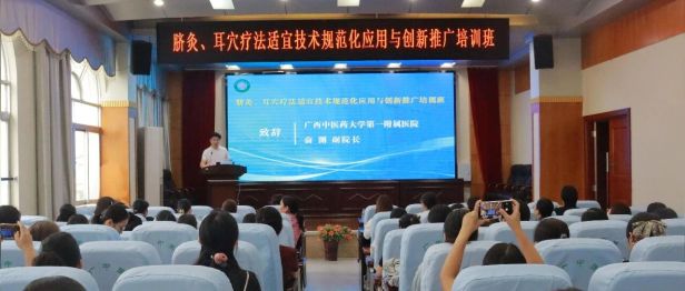 我院成功举办脐灸、耳穴疗法适宜技术规范化应用与创新推广培训班
