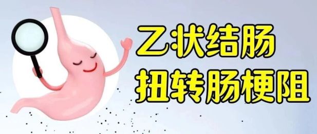 【一医好技术】81 岁老人腹胀如鼓！内镜微创化解乙状结肠扭转肠梗阻