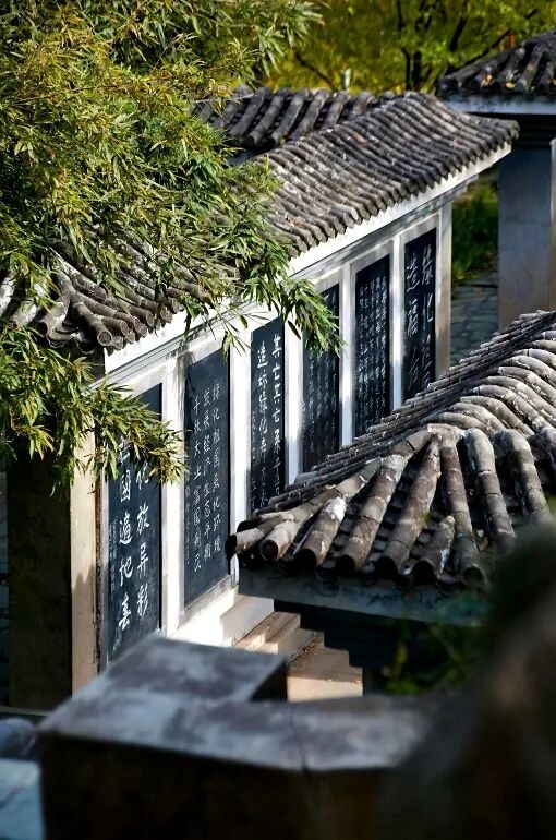 登高赏秋正当时,凝心聚力向未来 | 北京陆道培医院工会“美好秋日行”百望山登山活动圆满举行