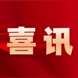 喜报｜我院在第六届阜阳市科普创意创新大赛中斩获多个奖项