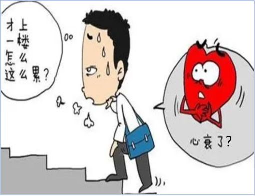 心电图正常≠心脏没问题!运动平板试验找出藏起来的心肌缺血