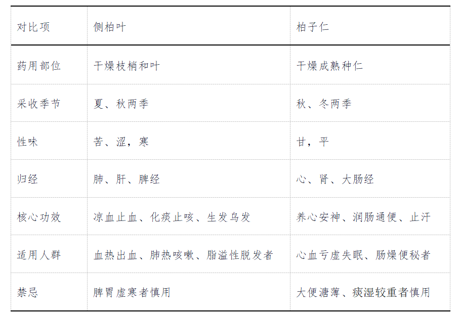 一树双药:侧柏叶与柏子仁——同株而生的"一清一养"