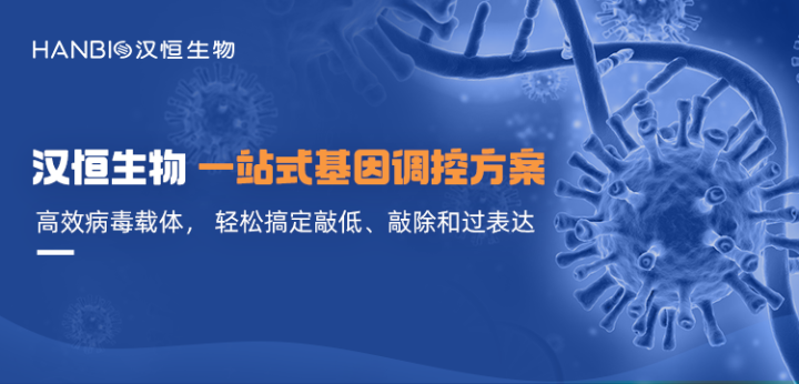 汉恒生物一站式基因调控解决方案