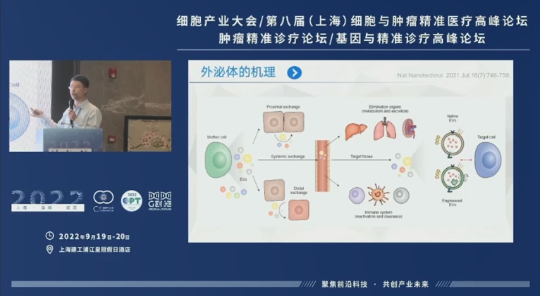 丁香实验推荐阅读