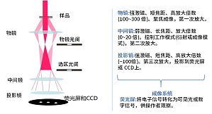 丁香实验推荐阅读