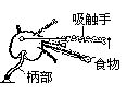 丁香实验推荐阅读