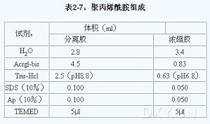 丁香实验推荐阅读