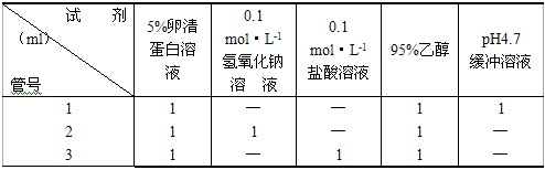 丁香实验推荐阅读