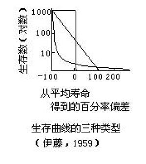 丁香实验推荐阅读